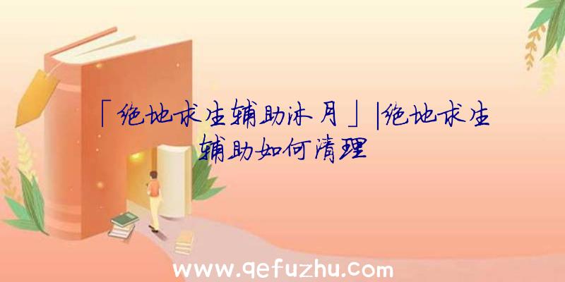 「绝地求生辅助沐月」|绝地求生辅助如何清理